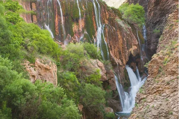 باغ‌های اصفهان - منبع عسل بهارنارنج