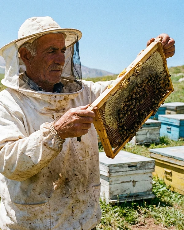 زنبوردار در طبیعت