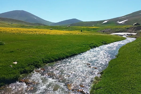 کوهستان‌های آذربایجان - منبع عسل وحشی