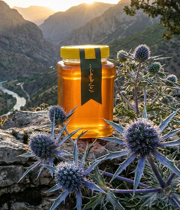 شیشه عسل طبیعی زول کردستان هانی24 درمانی