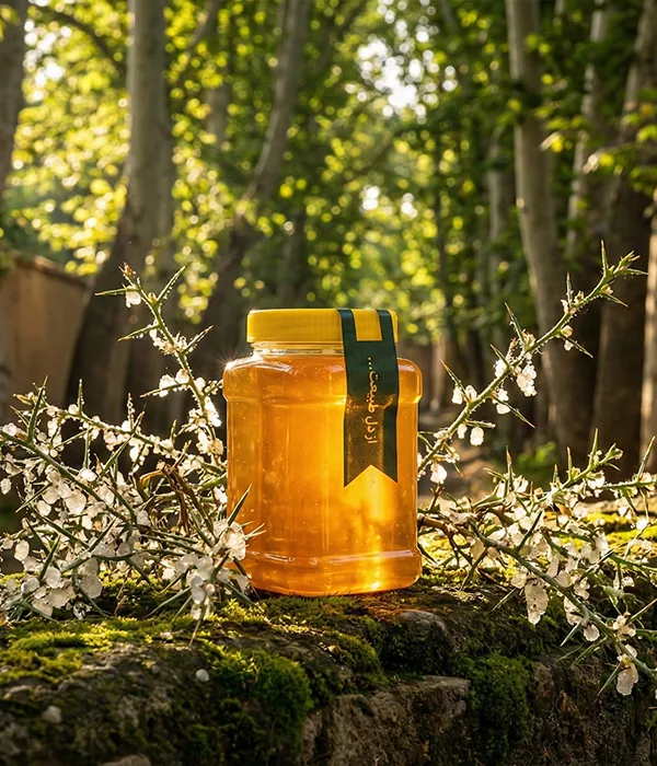 شیشه عسل طبیعی گزانگبین خوانسار هانی24 لوکس