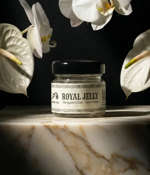 بسته بندی ژل رویال ۱۰ گرمی هانی24